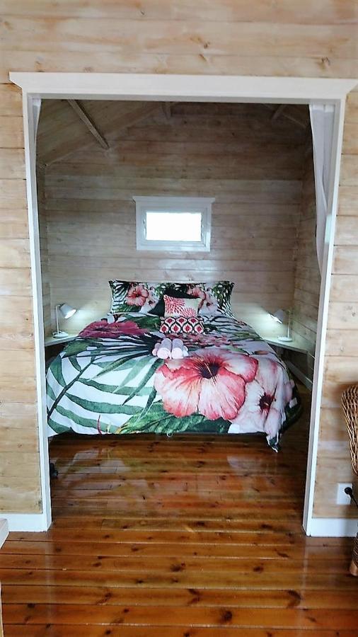 Red Hibiscus Villas Đảo Đảo Rarotonga Ngoại thất bức ảnh